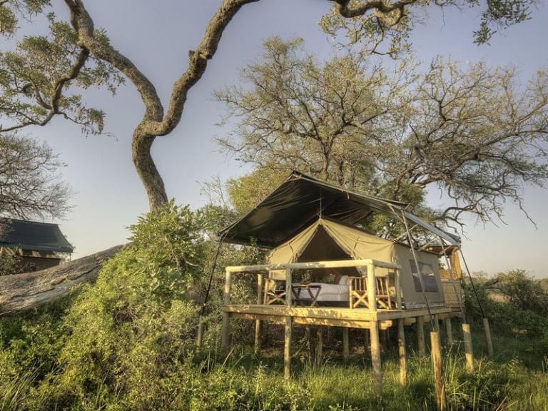ODDBALL’S CAMP