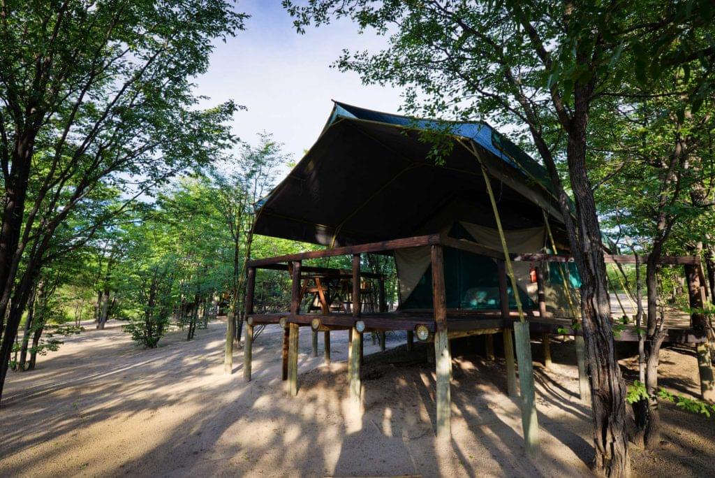 extérieur tente à Mankwe Bush Lodge, réserve de Moremi, Botswana