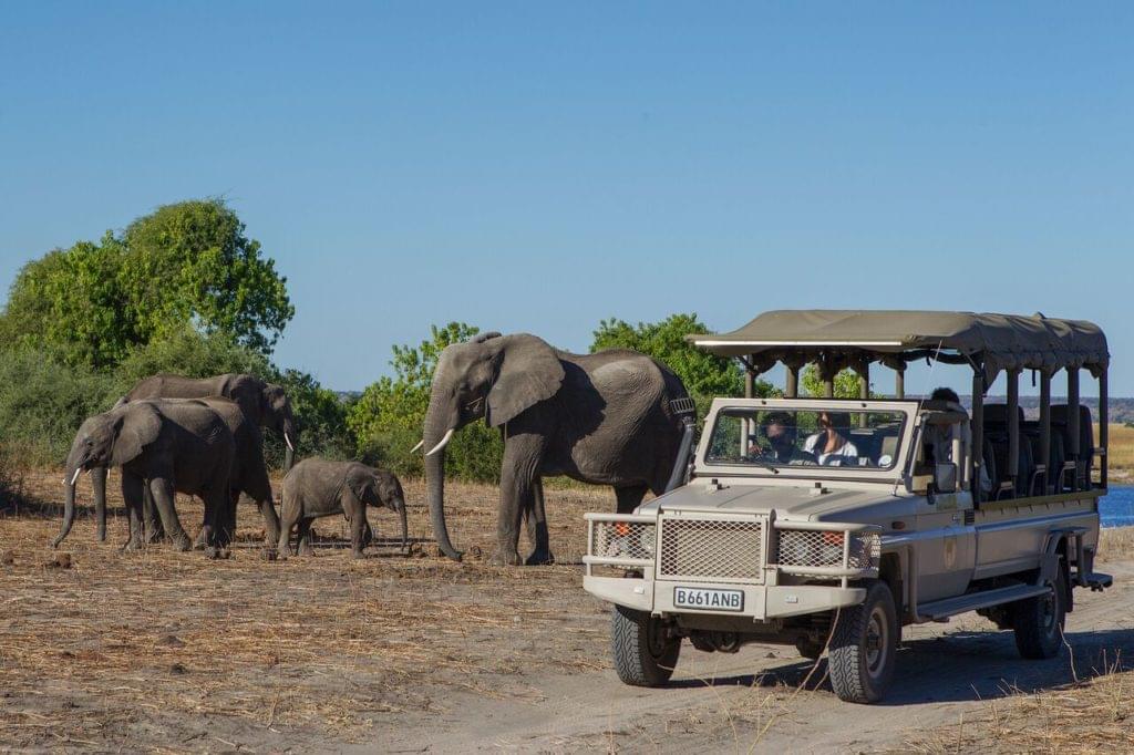 Safari 4x4 dans le parc national de Chobe, au Botswana