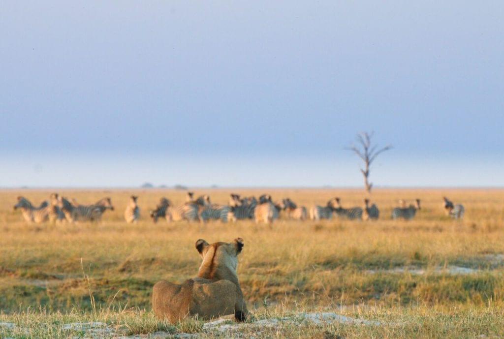 CHOBE GAME LODGE