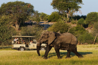 safari guidé en véhicule 4x4 avec Leroo La Tau, Makgadikgadi Pan, Botswana