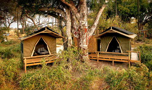 ODDBALLS’ CAMPS