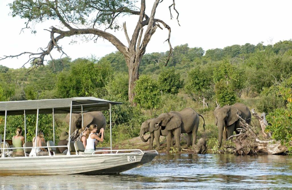 Chobe Chilwero