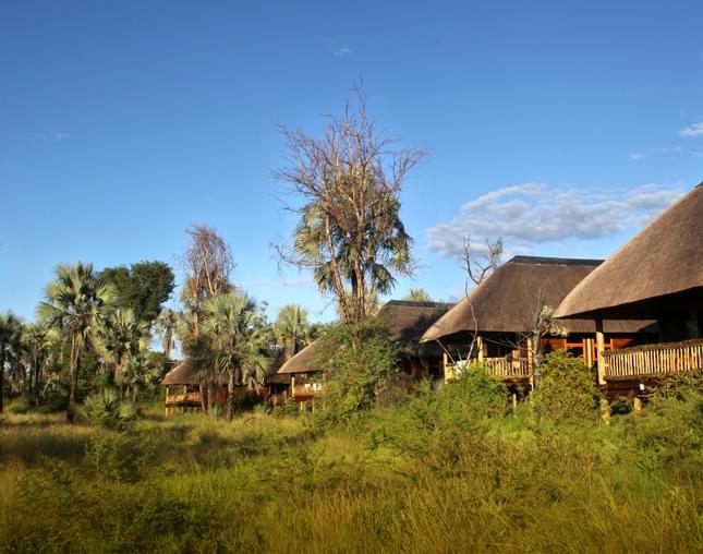 Moremi Crossing
