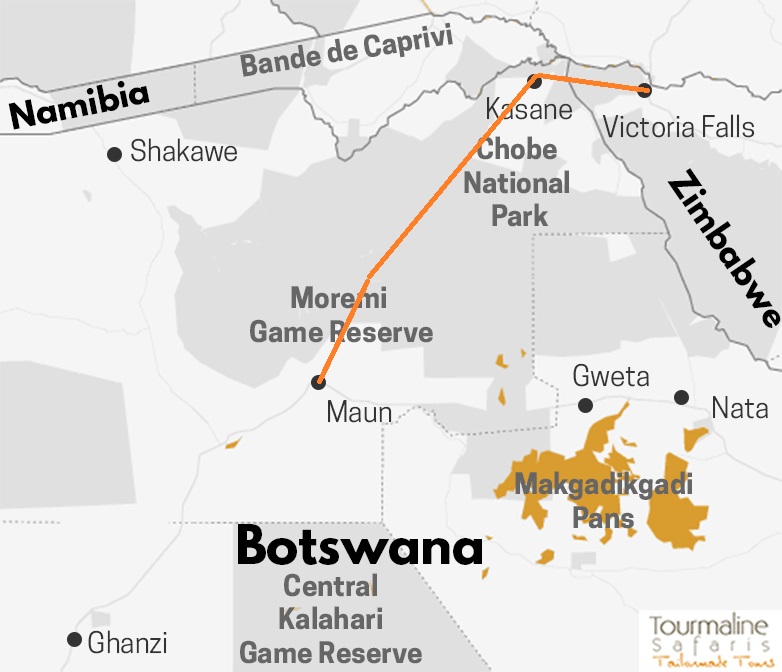 Voyage Safari au Botswana en immersion