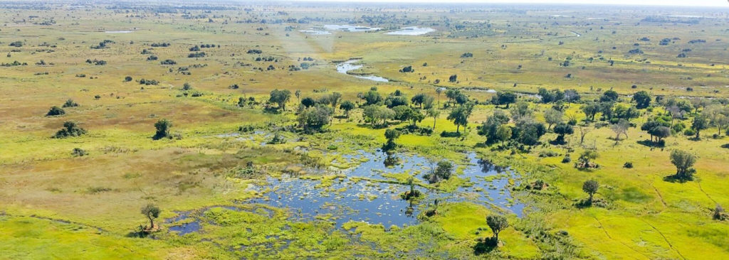 Delta de l'Okavango