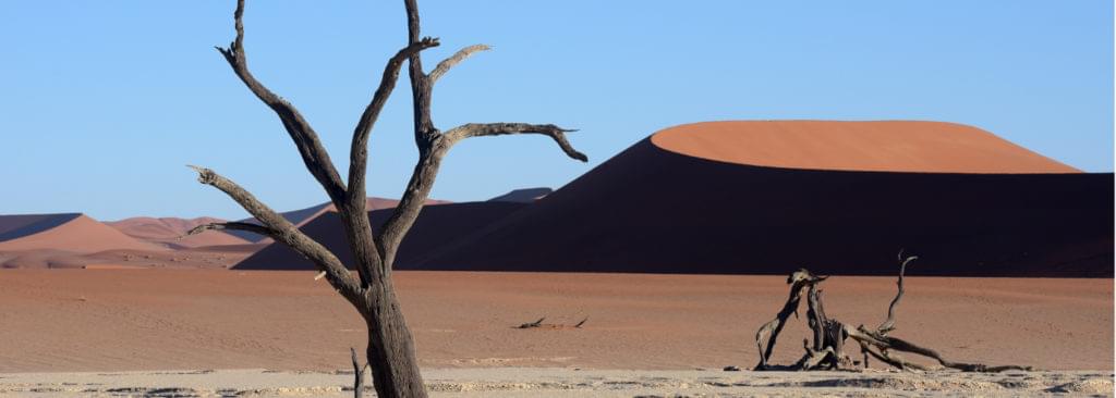 Dunes et vlei du désert du Namib, secteur du Deadvlei et Sossusvlei
