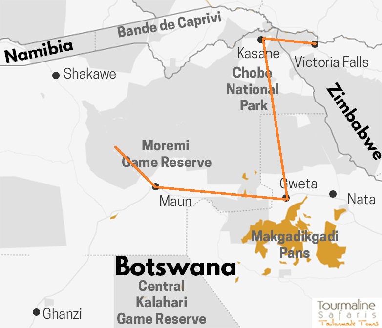Safari au Botswana par les pans