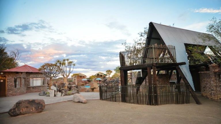 Quiver Tree Forest Rest Camp