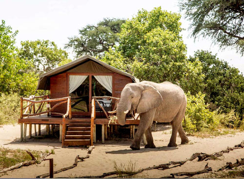 Camp Savuti