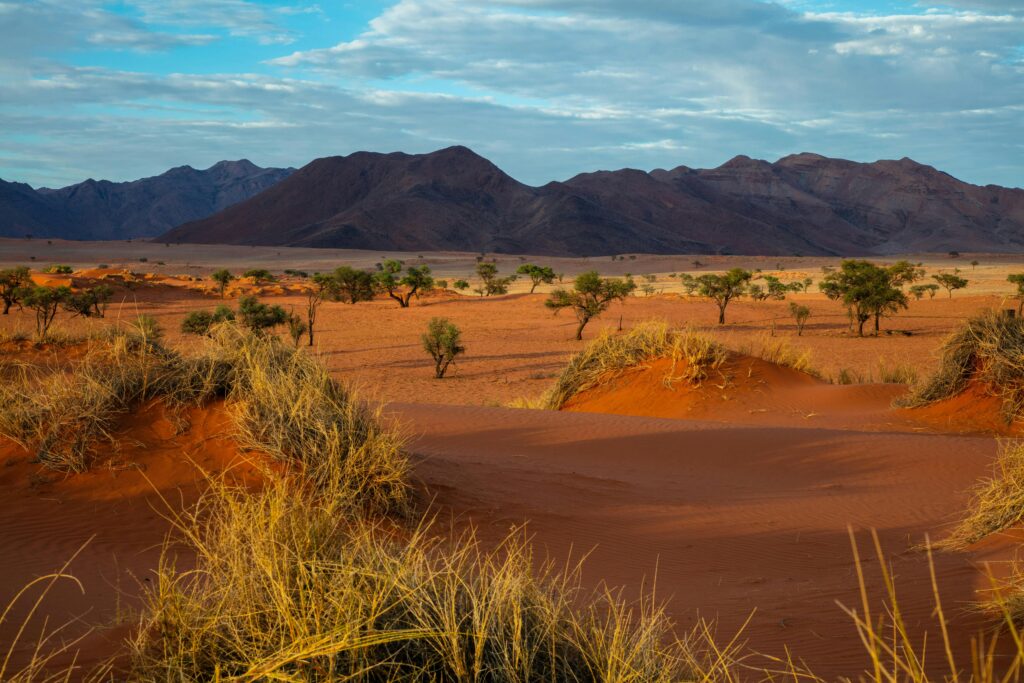 paysage_namibie