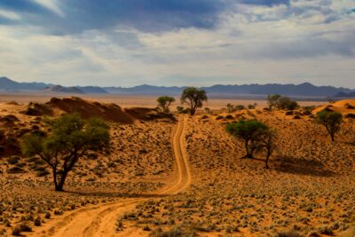 paysage_namibie_2