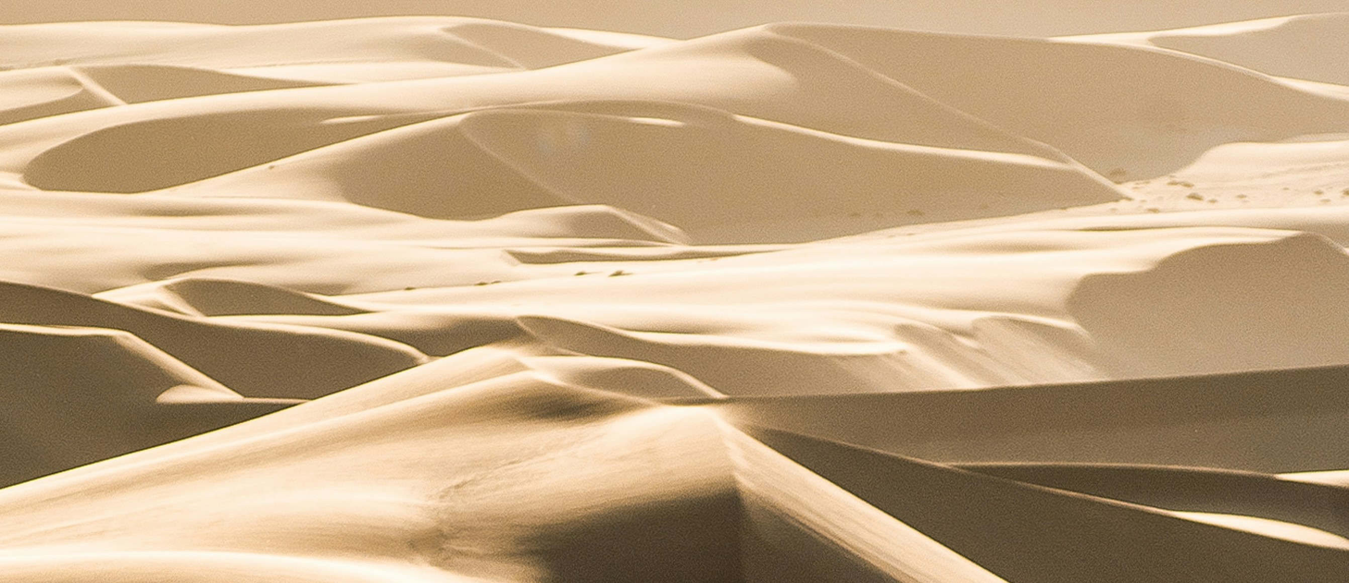 dunes