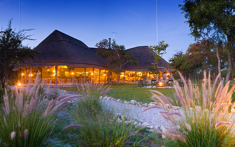Où dormir à Etosha : Guide complet des hébergements et lodges de safari