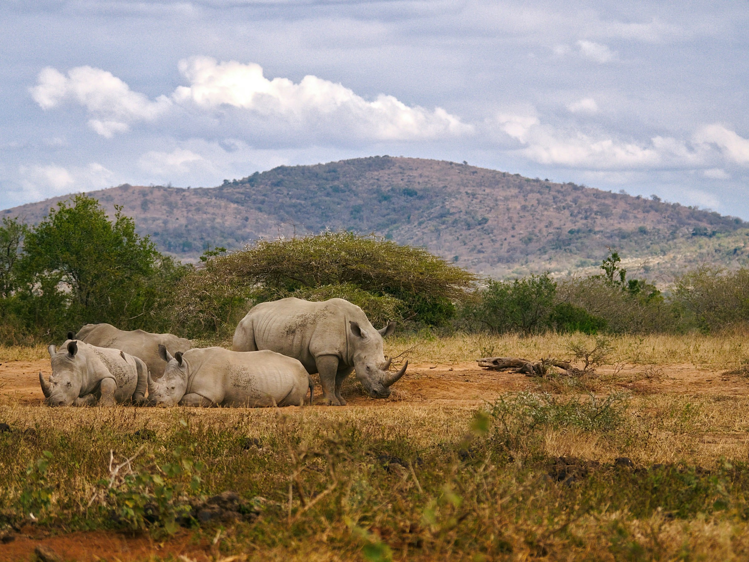 kwazulu-natal