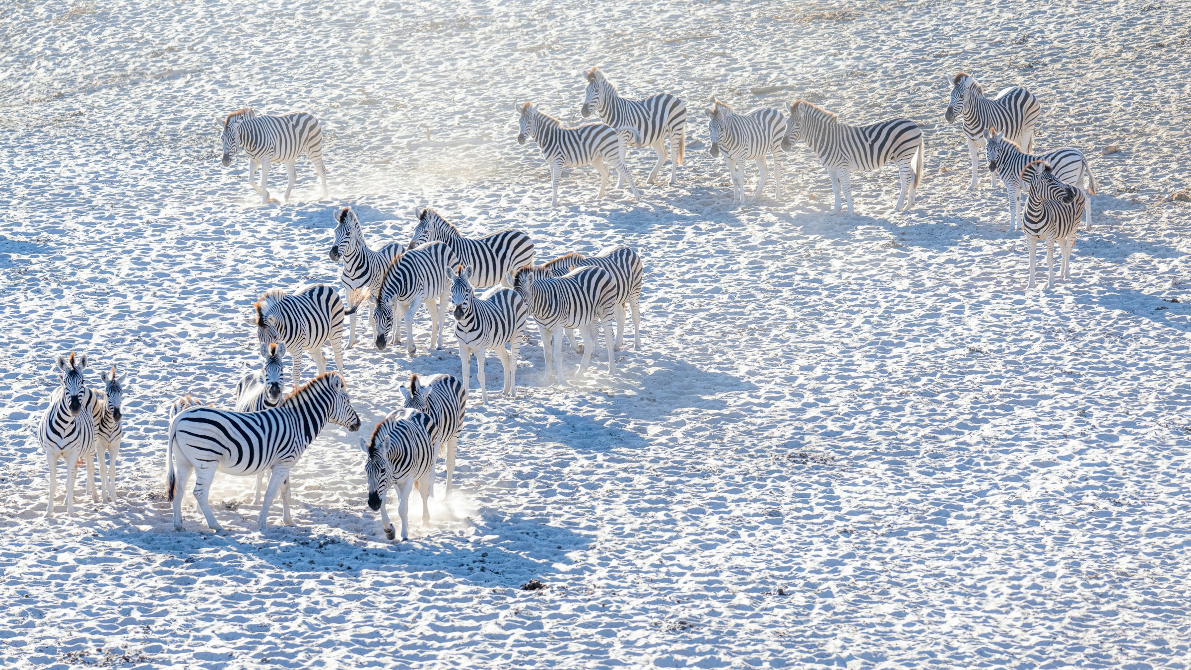 Makgadikgadi et Nxai Pan