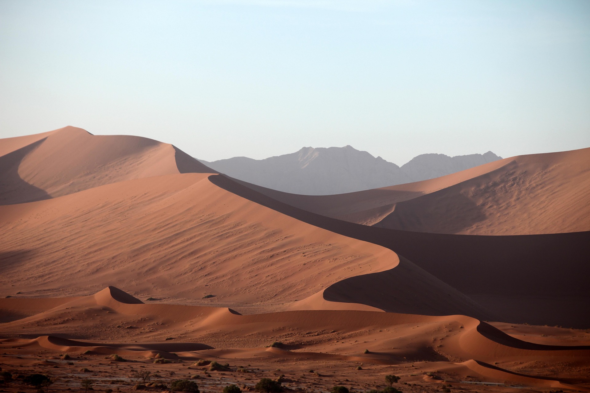 Namib-Naukluft