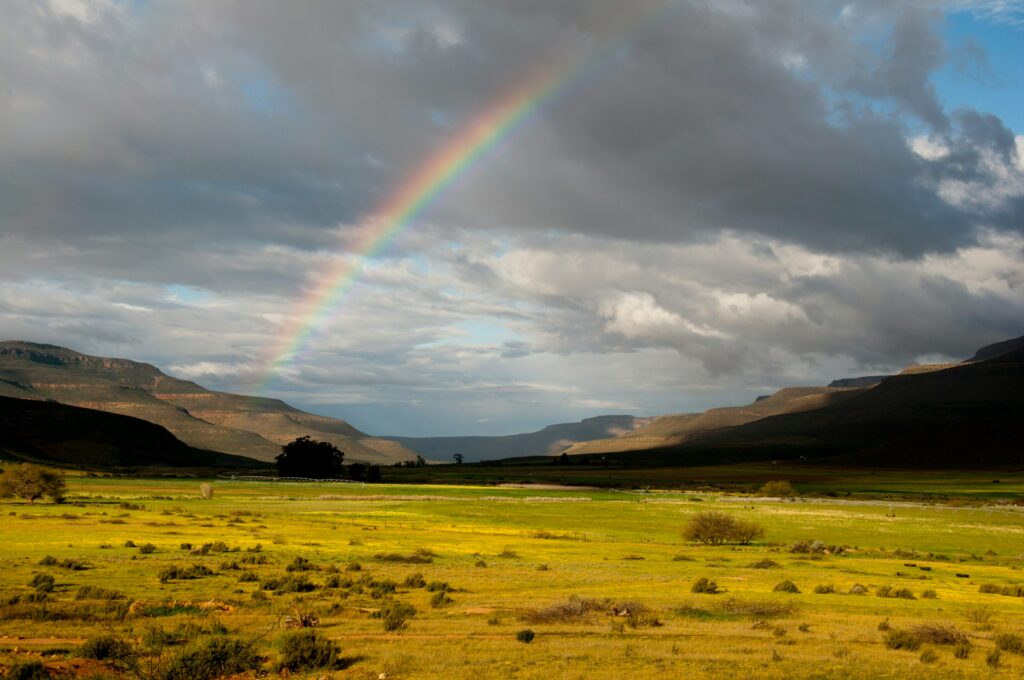 Du Kalahari à Cape Town