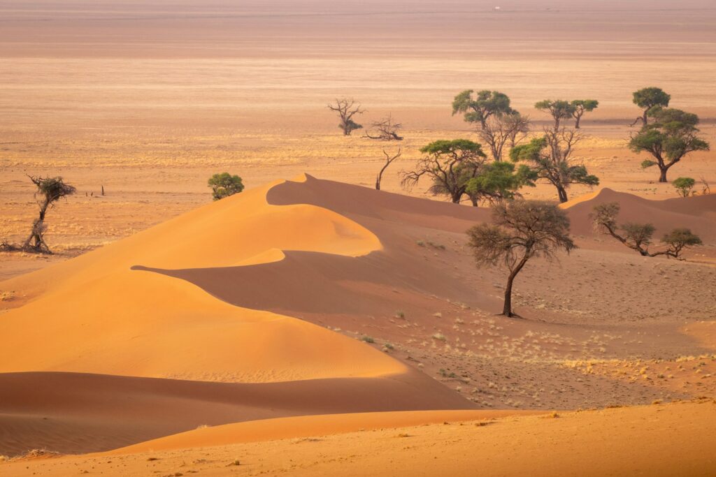 NAMIB DESERT LODGE