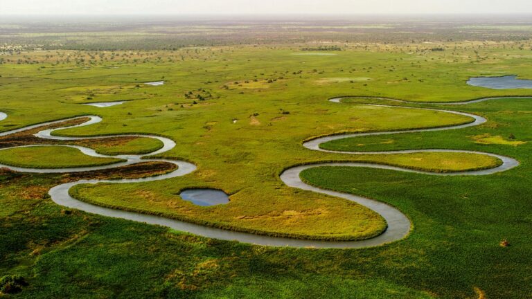 De l’Okavango aux Chutes Victoria