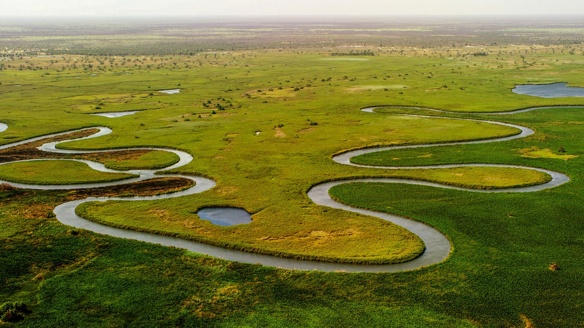 Delta de l'Okavango