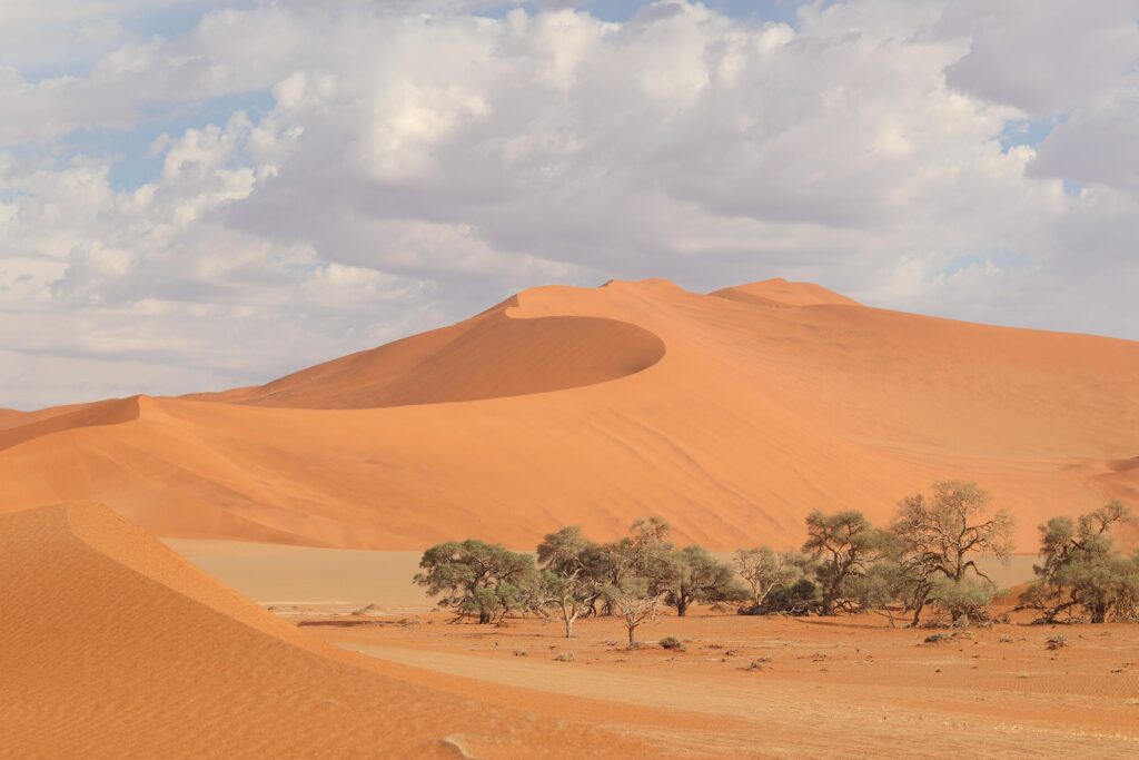 Lune de Miel en Namibie