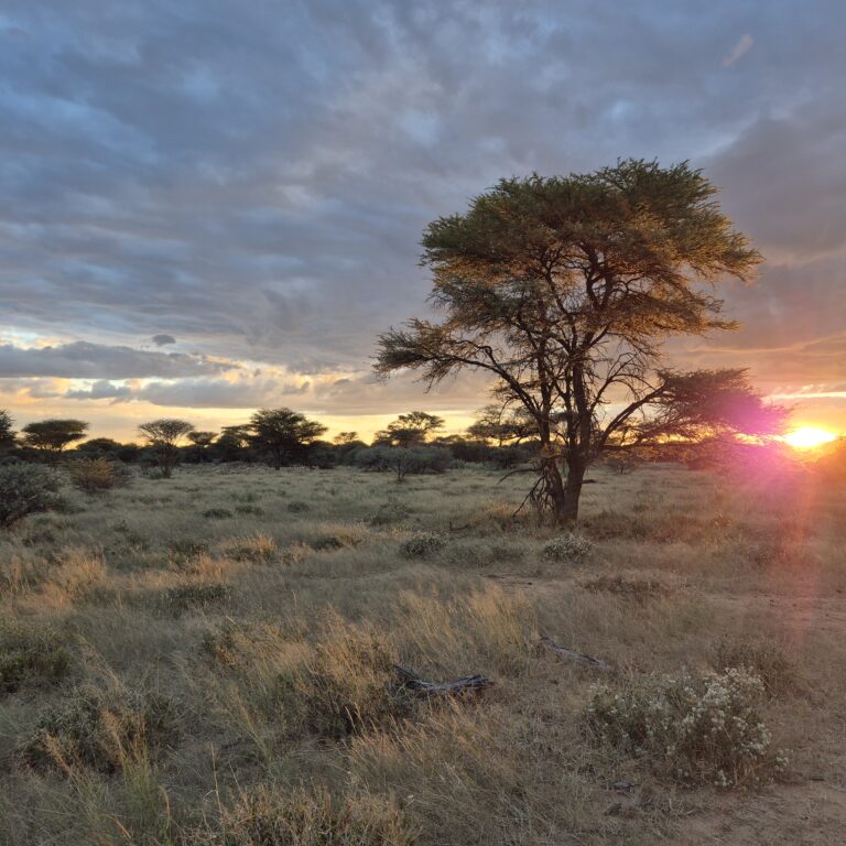 Namibie en Solitaire