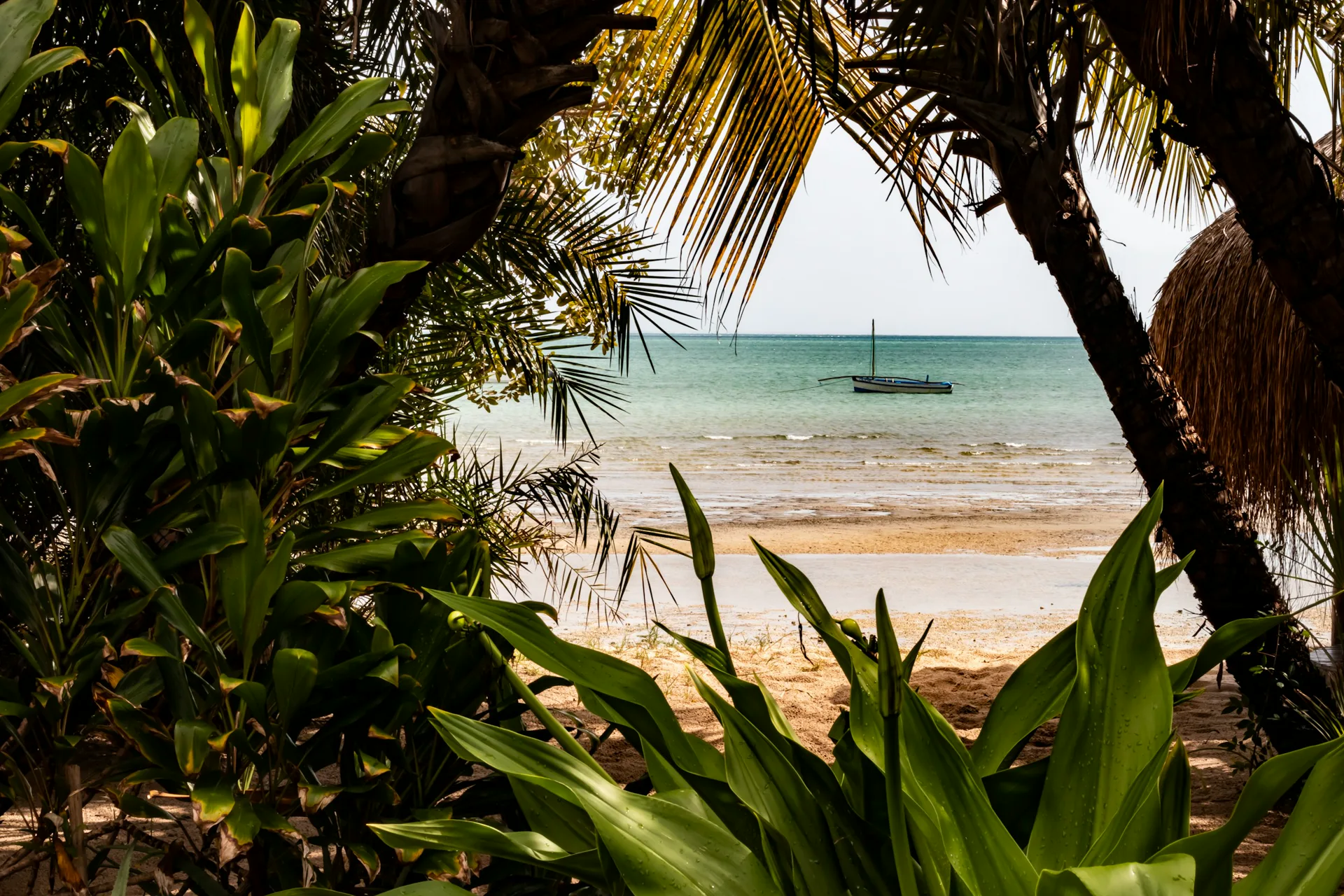 Plage du Mozambique vue depuis la végétation tropicale, voilier au large