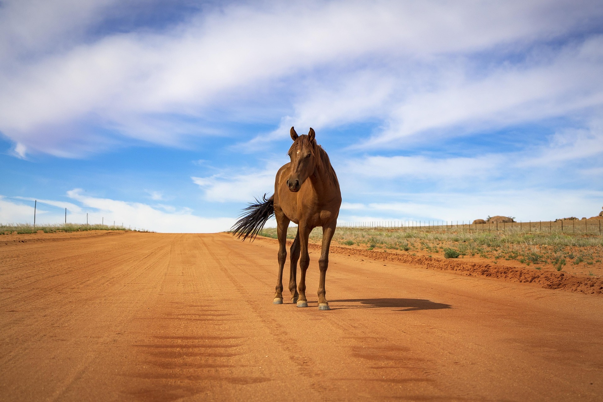 Windhoek à cheval