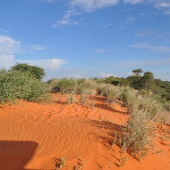 DSC_0074