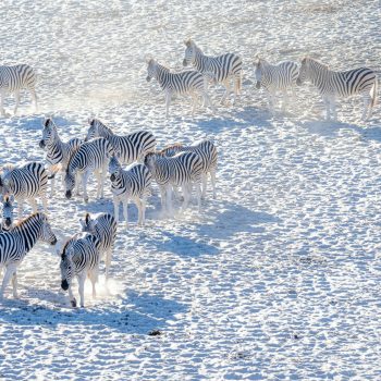 Makgadikgadi_pans