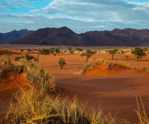 paysage_namibie