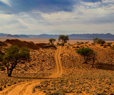 paysage_namibie_2