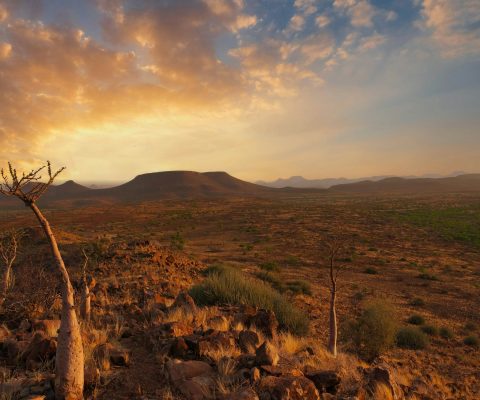 desert_namibie